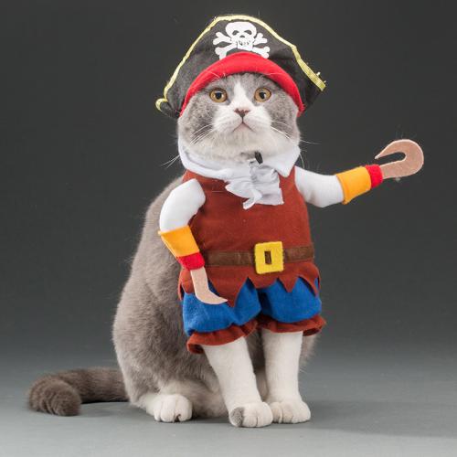 Костюм пірата для кота