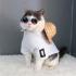 Сонцезахисні круглі окуляри для котів і собак