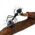 Іграшка сонячна мураха