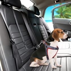 Регульований повідець для собаки в машину