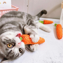Мягкая игрушка для кота в форме морковки