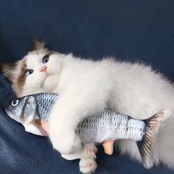 Іграшка, що рухається, Риба для кішок