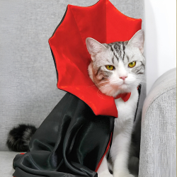 Котячий костюм у вигляді Вампіра
