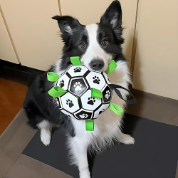 Іграшка м'яч для собаки