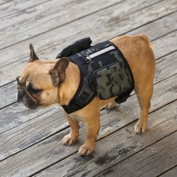 Тактическая жилетка для собаки